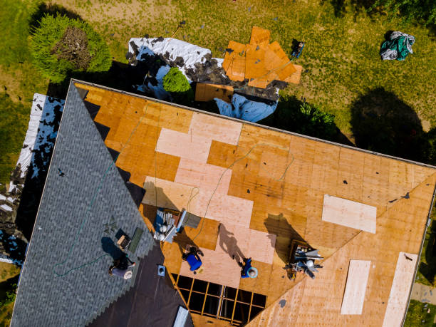 Best Local Roofing Companies  in Normandy Park, WA
